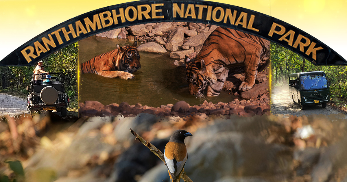 Ranthambore National Park